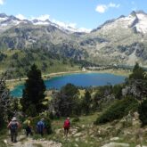Paysage montagnard avec au premier plan une forêt et plus loin des sommets enneigés.