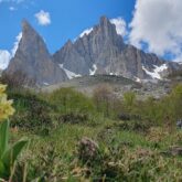 Paysage de montagne avec des sommets en fond et au premier plan des des fleurs de montagne ainsi qu'un champ