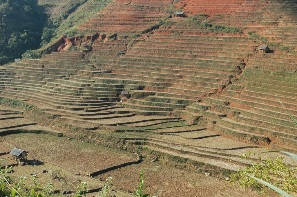 Paysage avec des reliefs au Vietnam, avec des strates de terres et de végétation