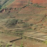 Paysage avec des reliefs au Vietnam, avec des strates de terres et de végétation