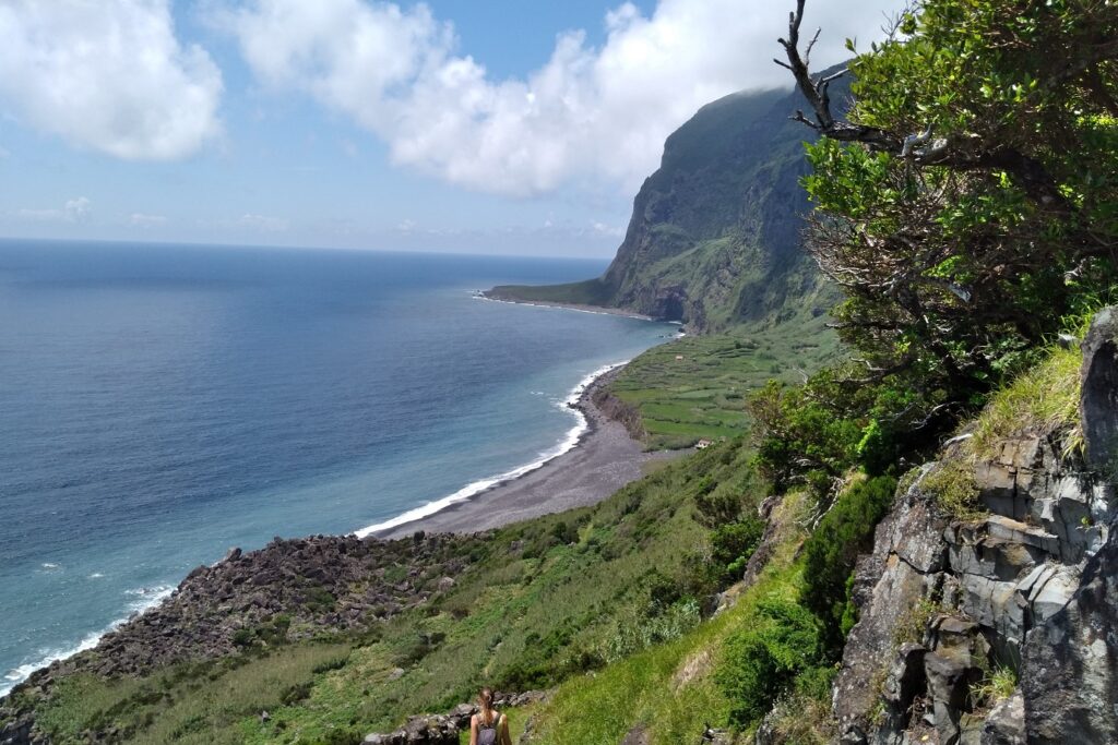 Paysage de bord de mer avec de la végétation et des arbres, ainsi que des plages