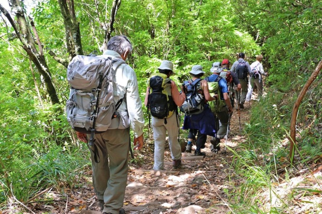 Groupe de randonneurs sur un sentier dans une forêt