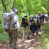 Groupe de randonneurs sur un sentier dans une forêt