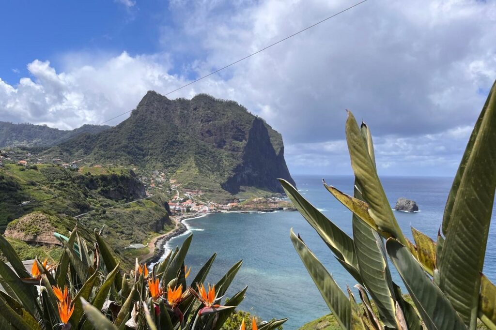 Paysage sur l'île de Madère, avec au premier plan des fleurs et à l'arrière-plan des sommets qui se jettent dans l'eau