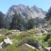 Paysage estival dans les encartais avec des aiguilles en fond