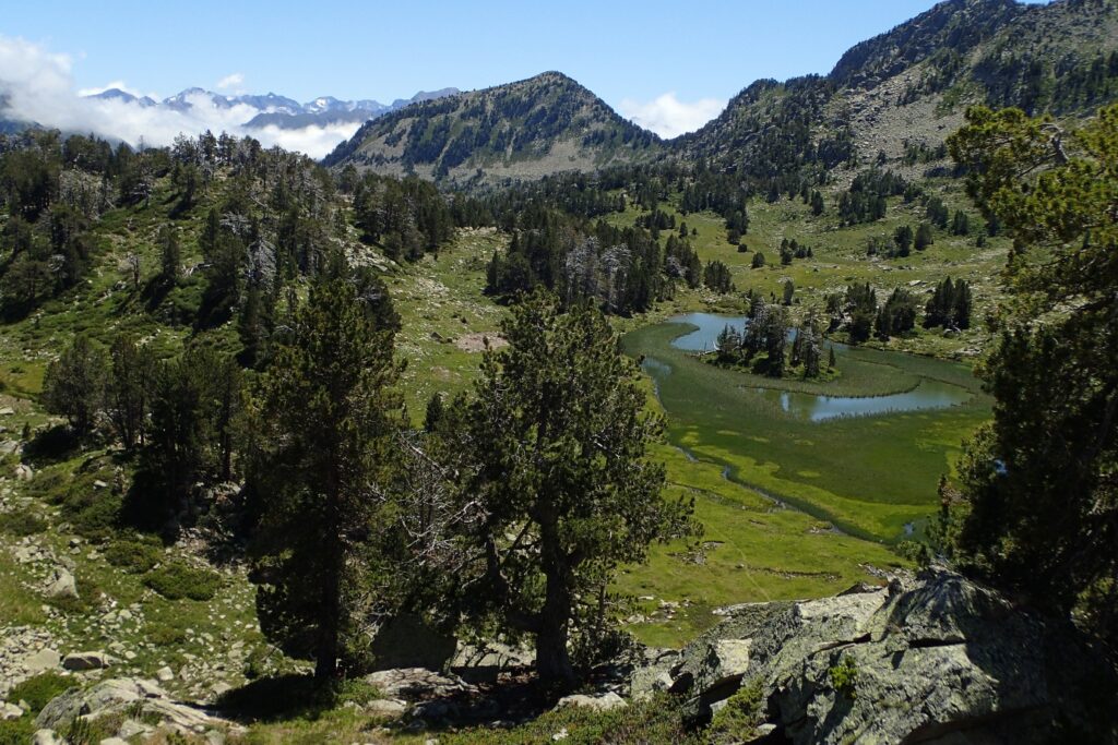 Paysage avec des lacs azurés du Neouvielle entouré d'arbres et de sommets