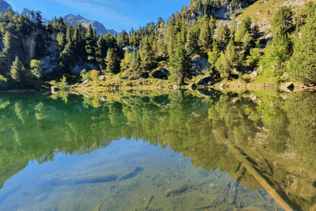 Paysage d'un lac de montagne encadré d'une forêt, observé en été lors d'un séjour de randonnée en liberté dans les encantats