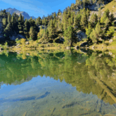 Paysage d'un lac de montagne encadré d'une forêt, observé en été lors d'un séjour de randonnée en liberté dans les encantats