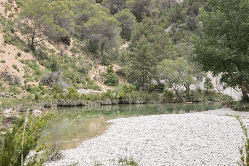 Plage de cailloux blancs observée dans un canyon en Sierra de Guara, entourée de falaises et d'arbres