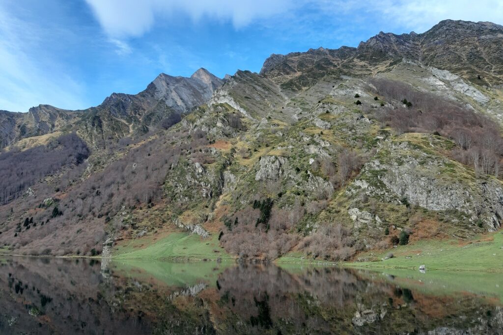 paysage de montagne avec des sommets en contrebas, toute sorte de végétation