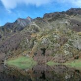 paysage de montagne avec des sommets en contrebas, toute sorte de végétation