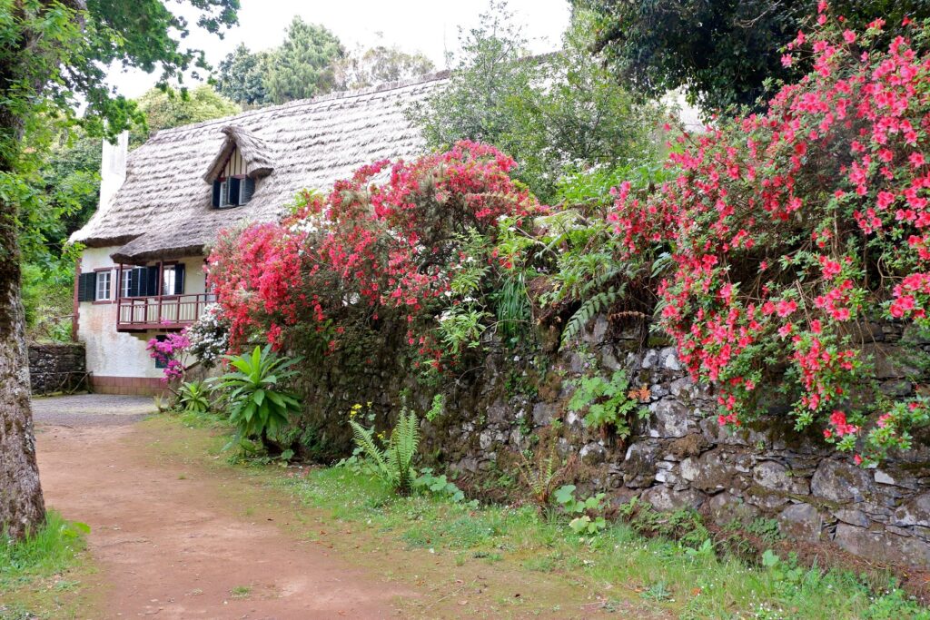 Paysage à Madère avec avec une mason à l'arrière-plan et des fleurs variées au premier plan