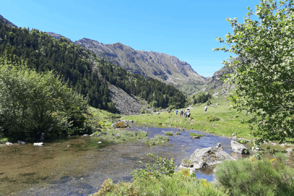 Paysage de montagne estival encadré d'arbres et de sommets, avec un court d'eau au centre, sur les sentiers du GR10