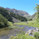 Paysage de montagne estival encadré d'arbres et de sommets, avec un court d'eau au centre, sur les sentiers du GR10