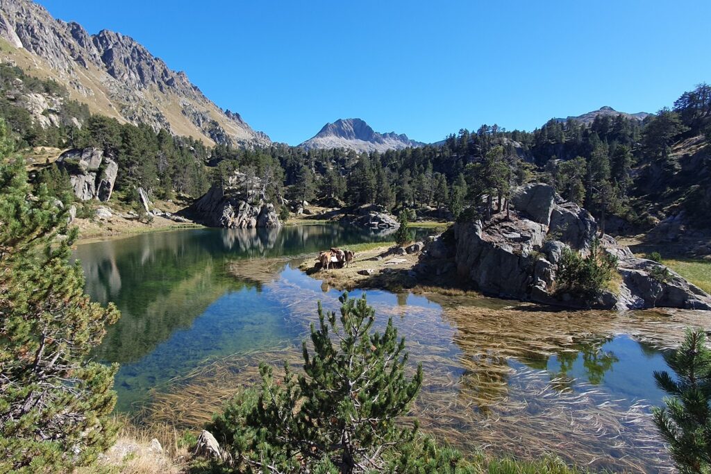 Lac de montagne encadré d'arbres et de sommets dans les encartais