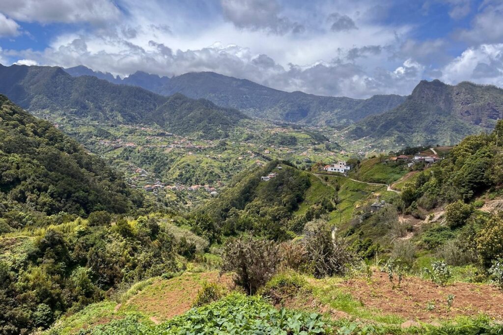 Paysage de Montagne à Madère avec beaucoup d'arbres