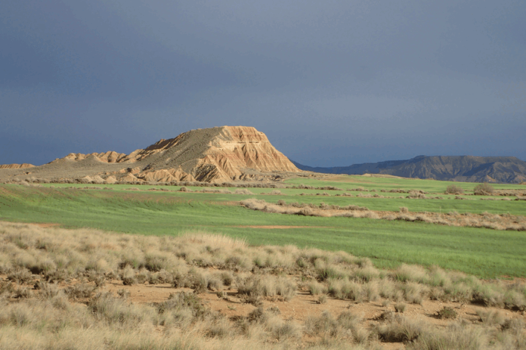 Paysage du désert des Bardenas avec une pleine d'herbe verte