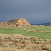 Paysage du désert des Bardenas avec une pleine d'herbe verte