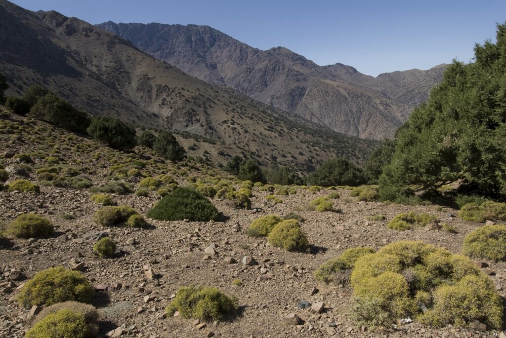 Paysage de randonnée au Maroc entre le Toubkal et le M'goun