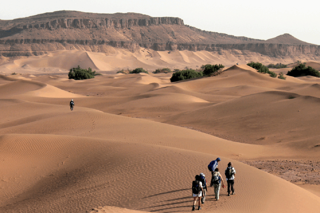 Groupe de randonneurs dans la vallée du Draa à travers les dunes