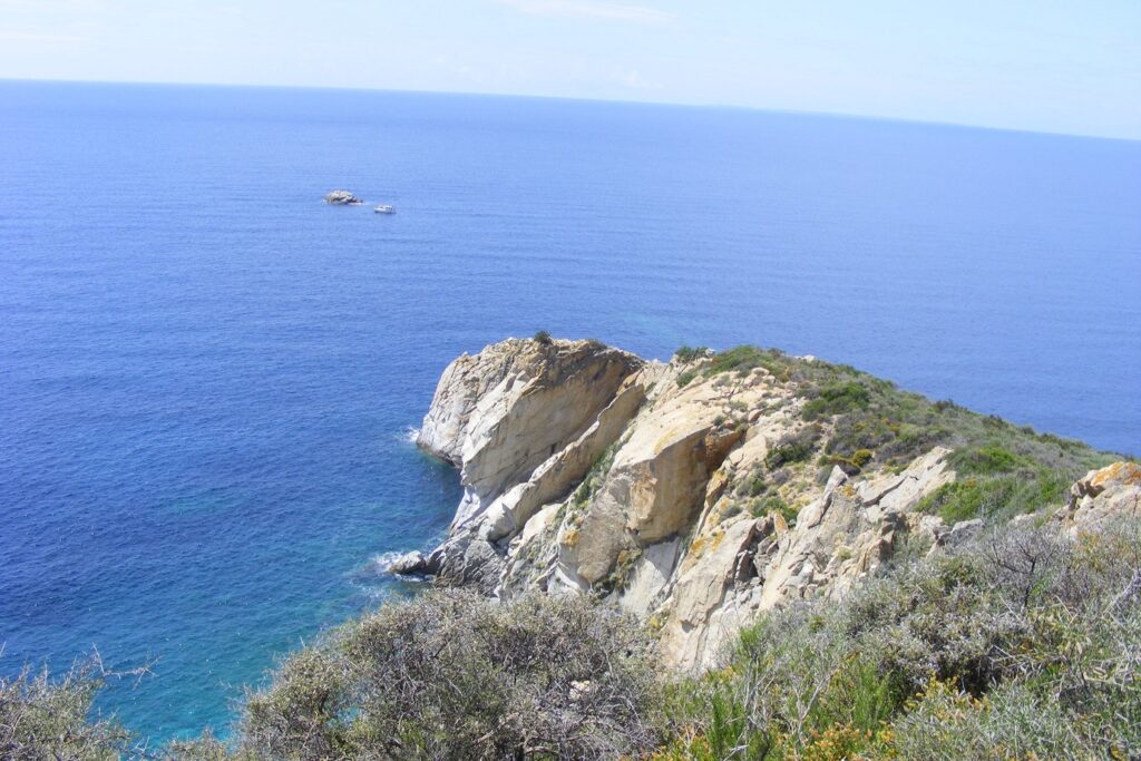 Paysage de la côte avec de la végétation variée