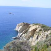 Paysage de la côte avec de la végétation variée