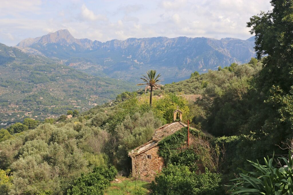 Paysages baléares de la forêt et des reliefs accompagnés de la végétation