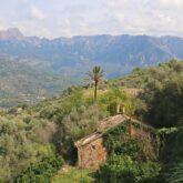 Paysages baléares de la forêt et des reliefs accompagnés de la végétation
