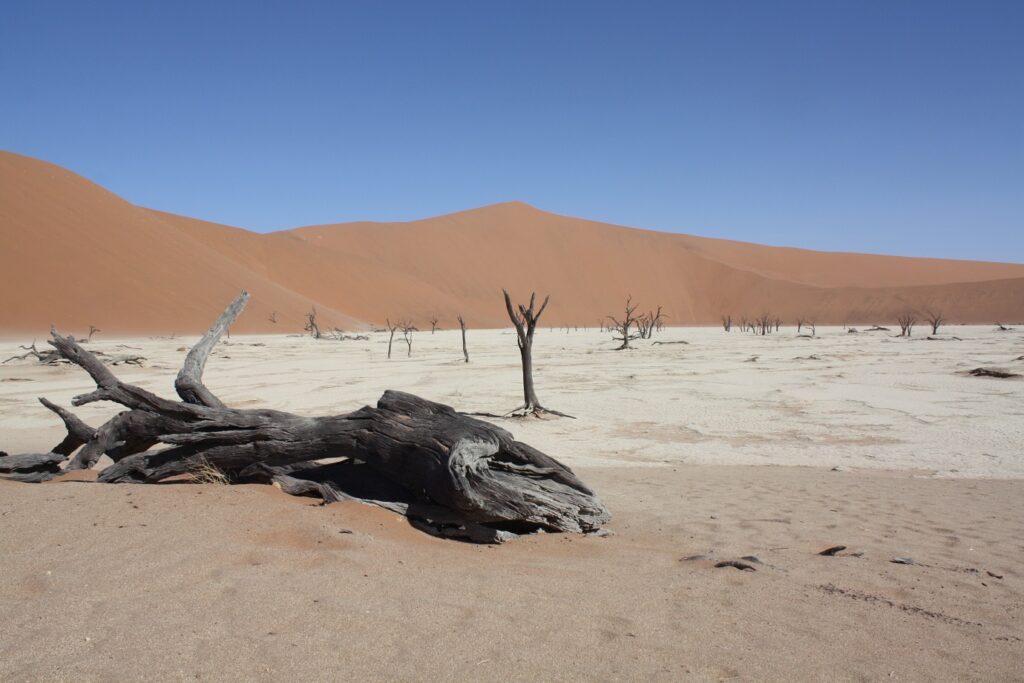 Paysage du désert de Namibie avec différentes couleurs en fonction des plans