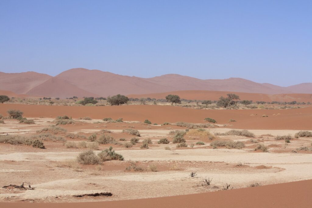 Paysage désertique de Namibie avec des sommets et différentes couleurs de sable et de végétation