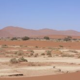Paysage désertique de Namibie avec des sommets et différentes couleurs de sable et de végétation