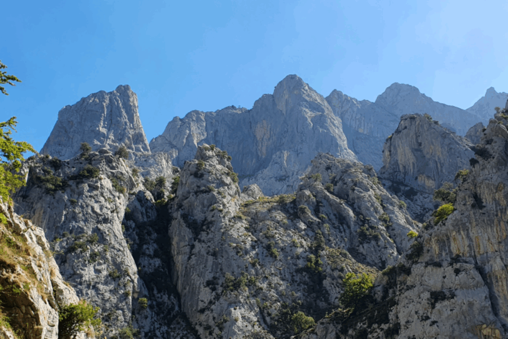 Paysage typique des picos de europa avec un ciel bleu et les pics caractéristiques qui montent à la verticale vers le ciel.