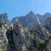 Paysage typique des picos de europa avec un ciel bleu et les pics caractéristiques qui montent à la verticale vers le ciel.