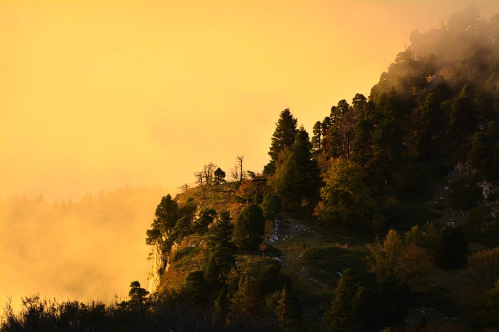 Paysage montagnard avec un ciel aux couleurs jaunes dues au soleil et des arbres placés de part et d'autre.