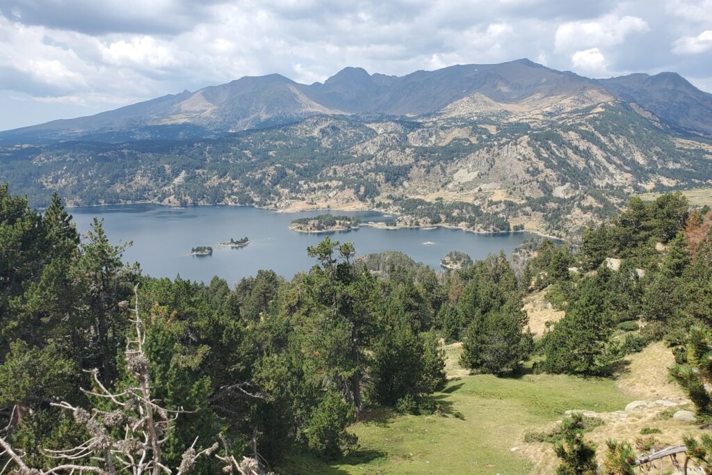 Paysage de montagne avec un lac important entouré de forêts et de montagnes
