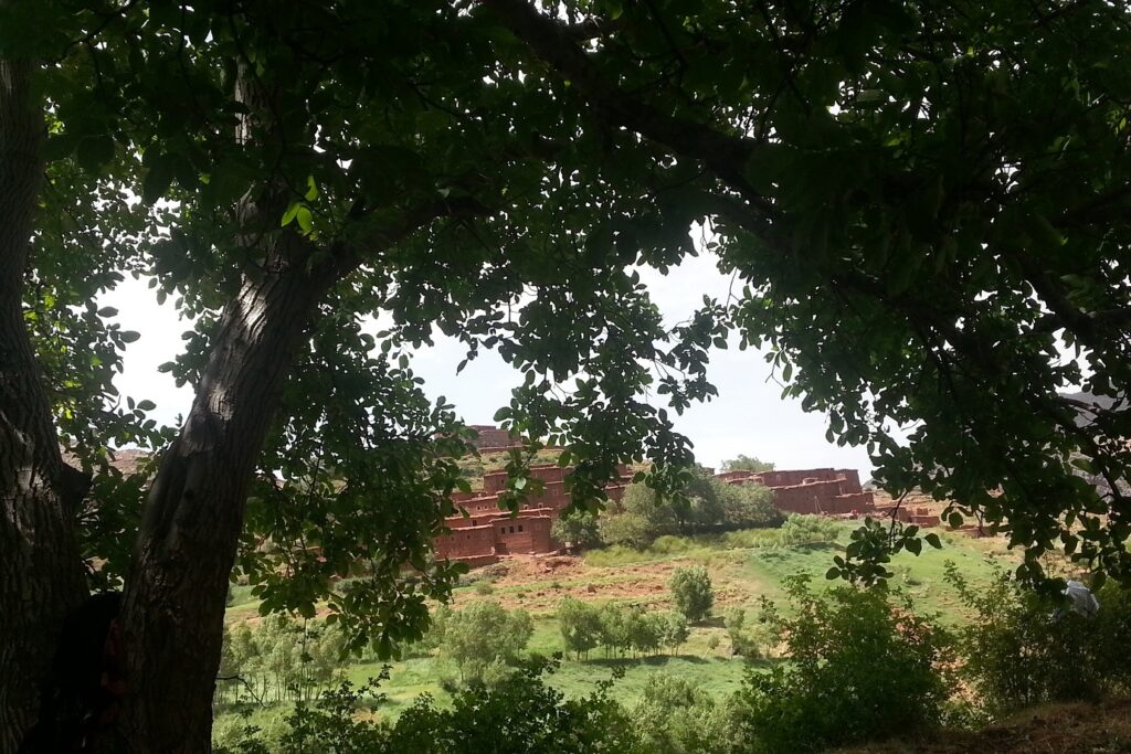Paysage de la vallée des roses avec en fond un village et de la végétation, dont des arbres au premier plan