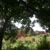 Paysage de la vallée des roses avec en fond un village et de la végétation, dont des arbres au premier plan