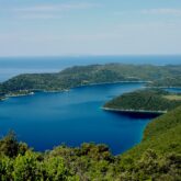 Paysage du littoral en Croatie avec la baie entièrement recouverte d'arbres