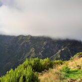 Paysage de montagne à Madère avec des arbres verdoyants à flanc de montagne