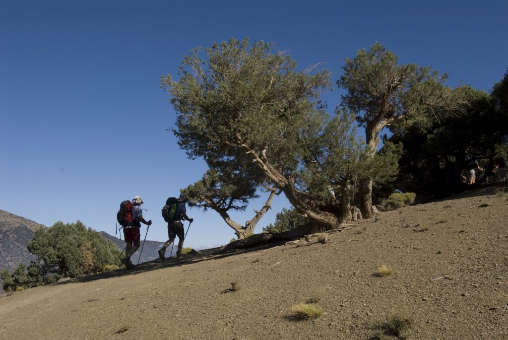 Groupe de randonneurs sur un sentier en train de monter au cours d'une randonnée dans les massifs du Toubkal et du M'goun