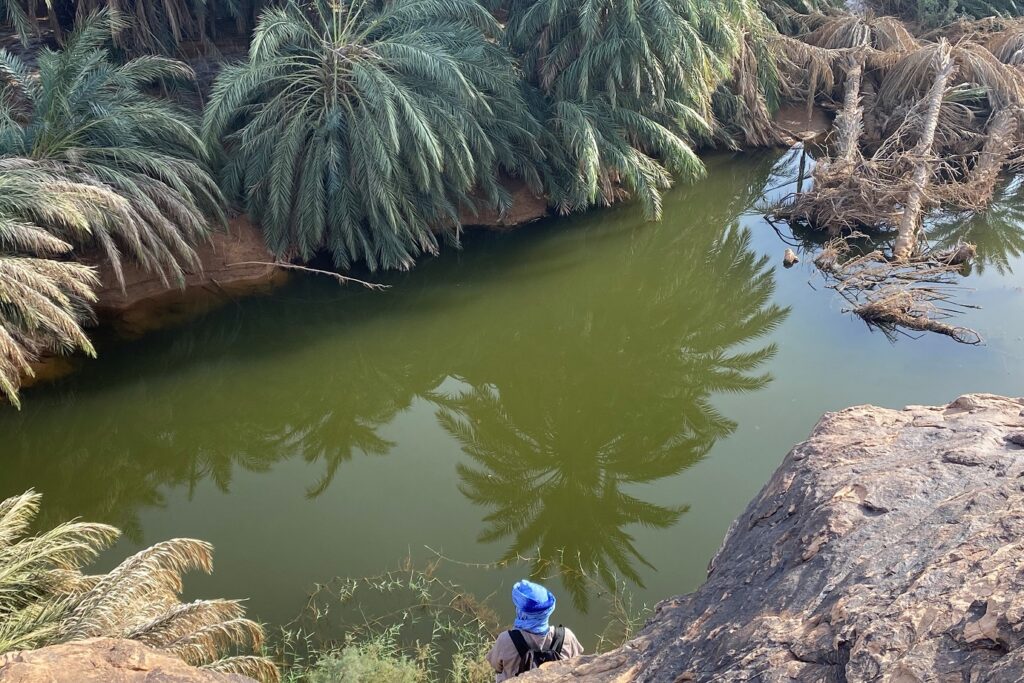 Marcheur devant une étendue d'eau entourée de palmiers