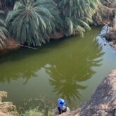 Marcheur devant une étendue d'eau entourée de palmiers