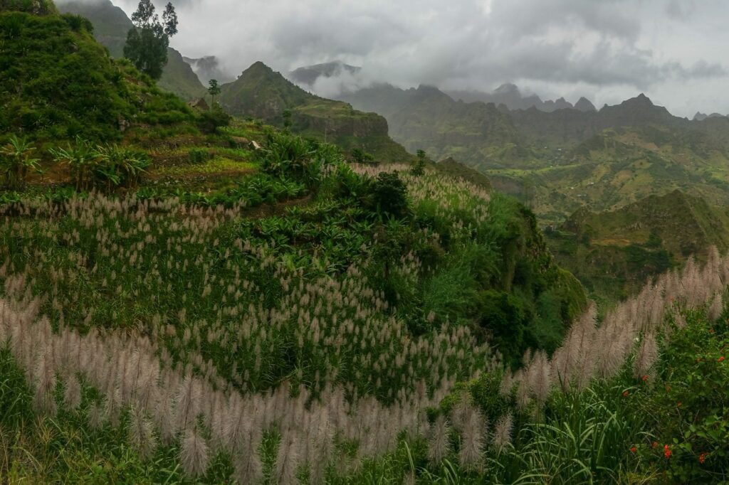 Paysage de montagne avec beaucoup de végétation au Cap-Vert