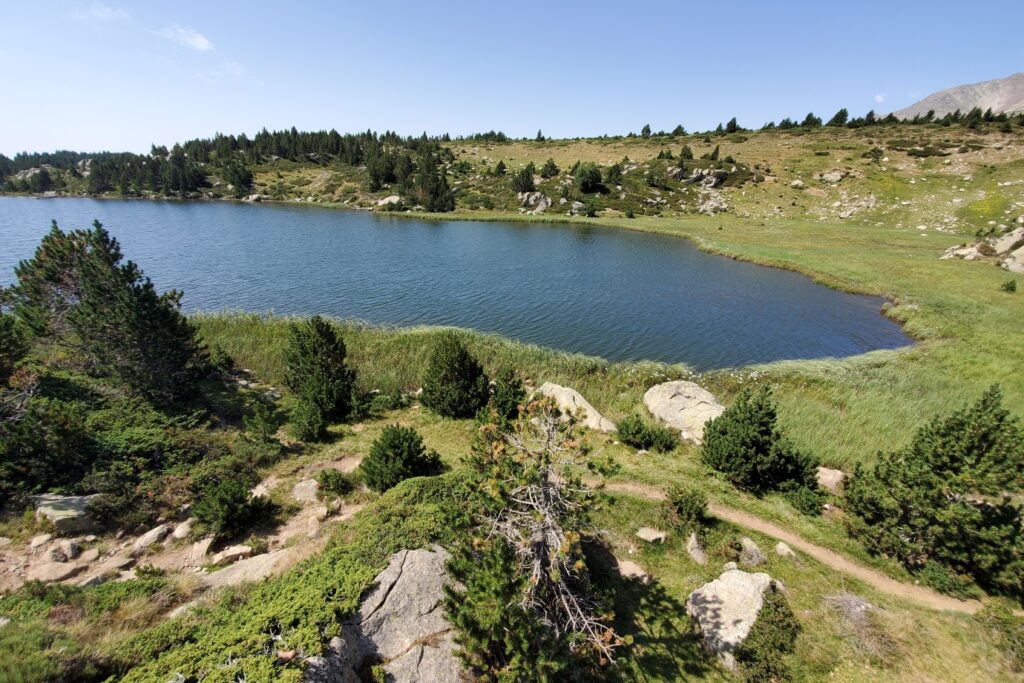 Lac de montagne entouré de végétation mais aussi de roches