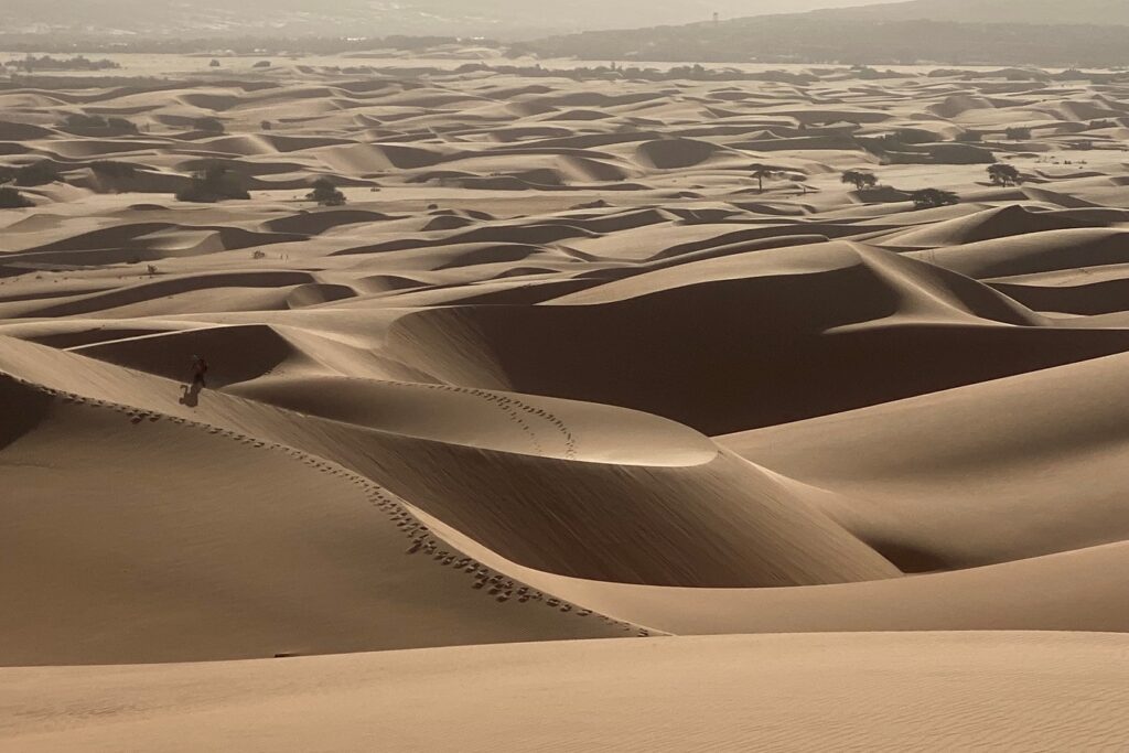 Dunes de l'Almatlich en Mauritanie, prise de vue de haut