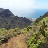 Chemin de randonnée, sentier à travers la végétation des canaries à flanc d'une montagne avec en fond l'océan