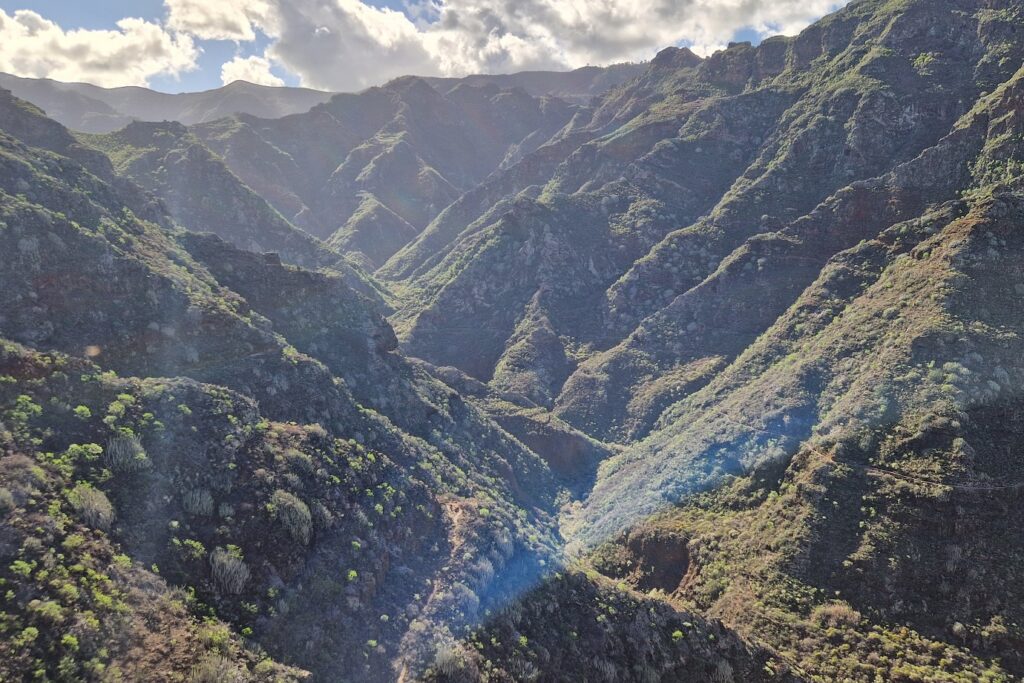 Paysage de montagne couvert de végétation sur l'île Tenerife des Canaries