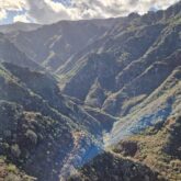 Paysage de montagne couvert de végétation sur l'île Tenerife des Canaries