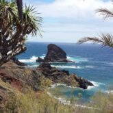 Paysage de littoral à tenerife avec l'eau turquoise