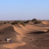 dunes du Maroc avec un groupe de dromadaires en contrebas des dunes